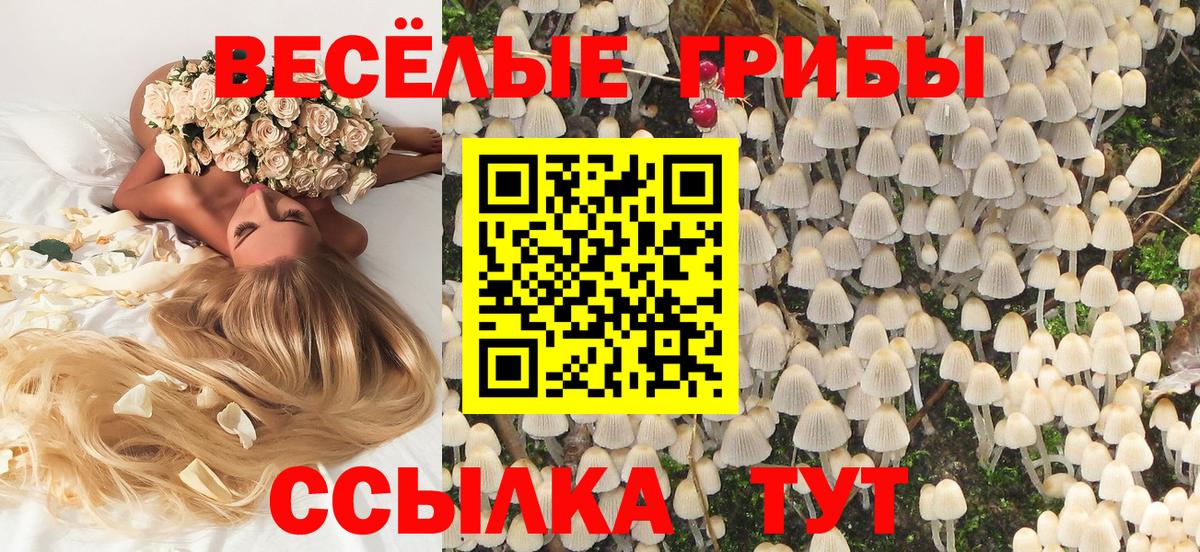 Псилоцибиновые грибы MAGIC MUSHROOMS  наркота  Узловая  Псилоцибиновые грибы Psilocybine cubensis  Вход с VPN 